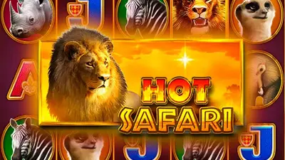 hot safari